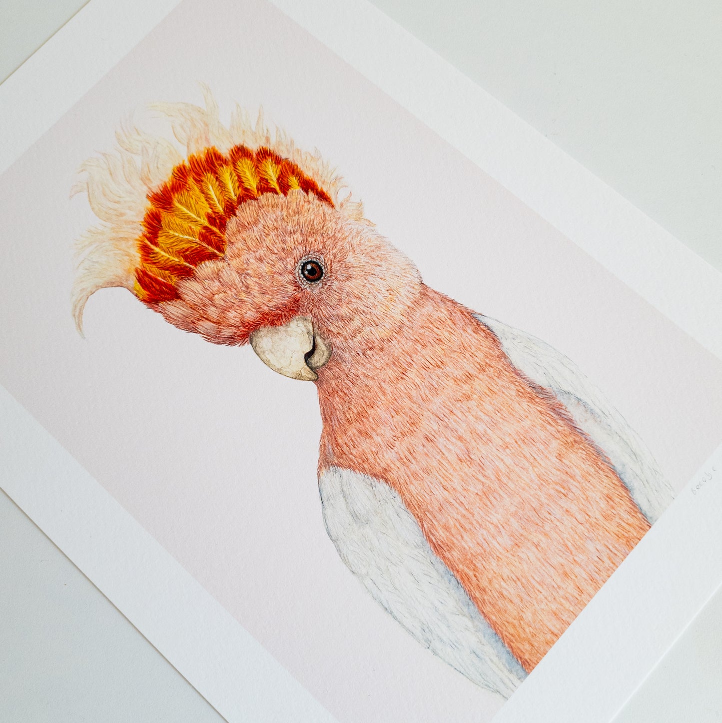 Fine art print IRWIN