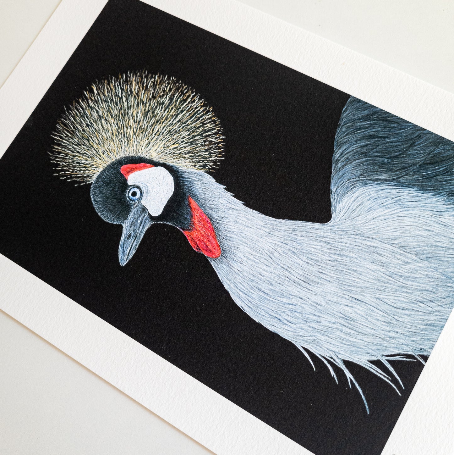 Fine art print HENRI