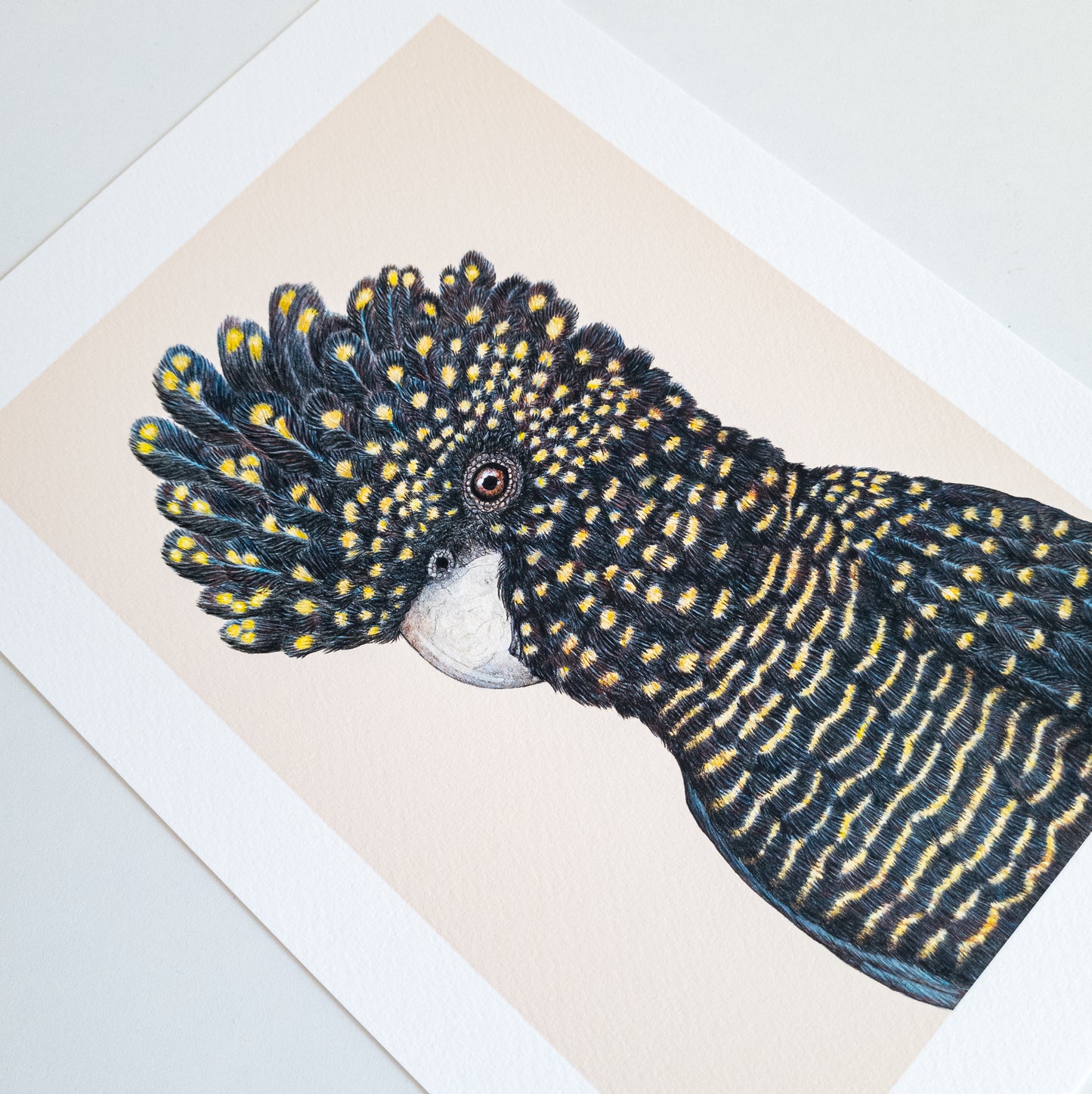 Fine art print LENNON