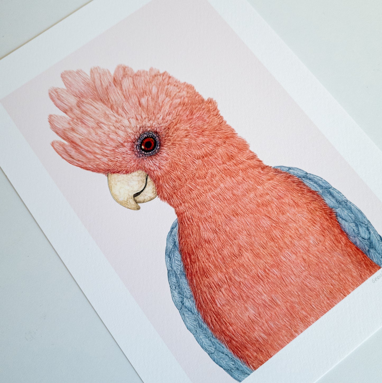 Fine art print ROSIE