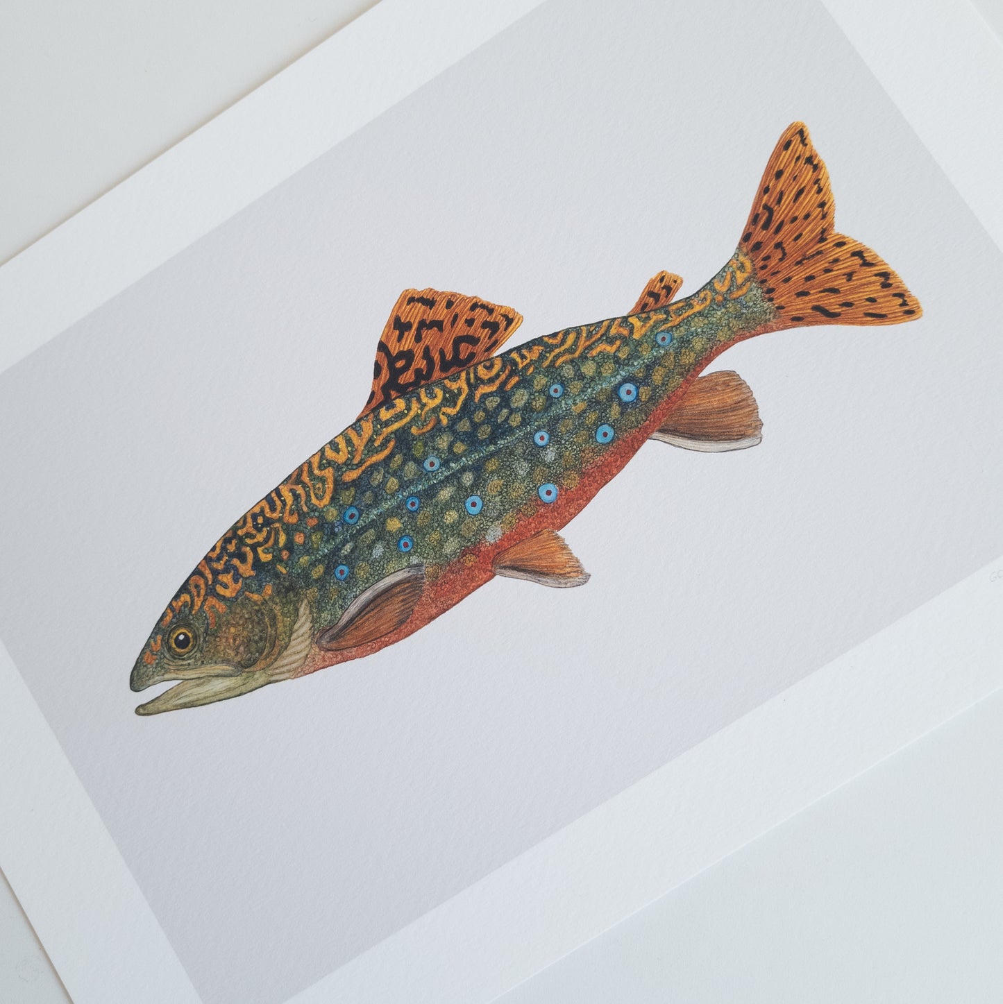 Fine art print BROOK