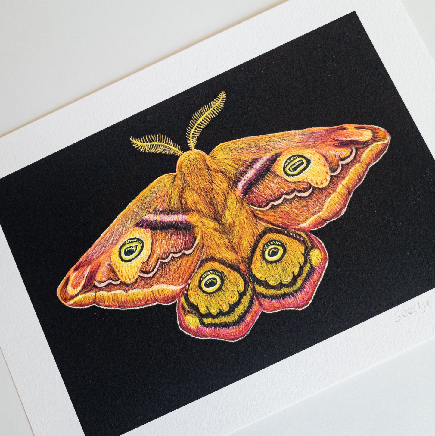 Fine art print THE SECOND EMPEROR