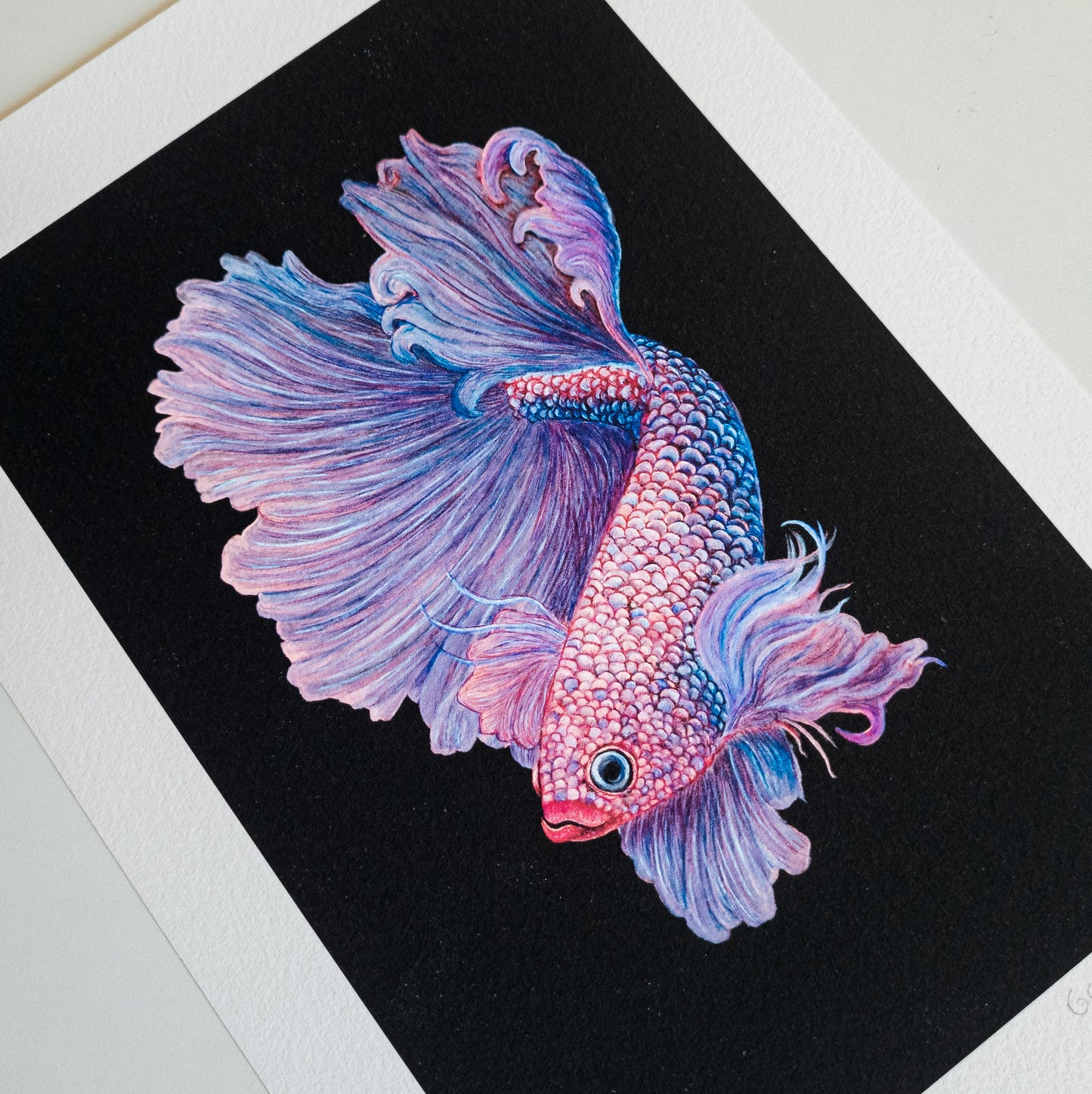 Fine art print BETTA