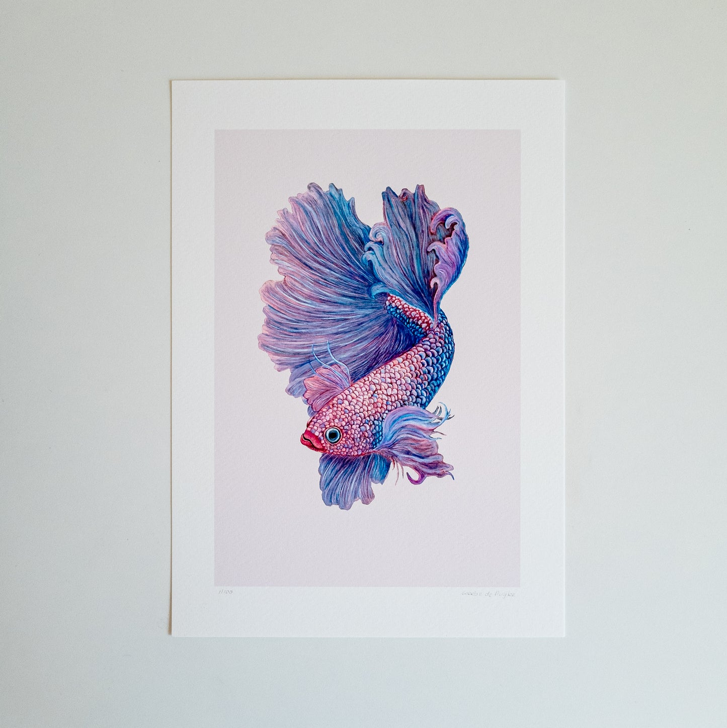 Fine art print BETTA