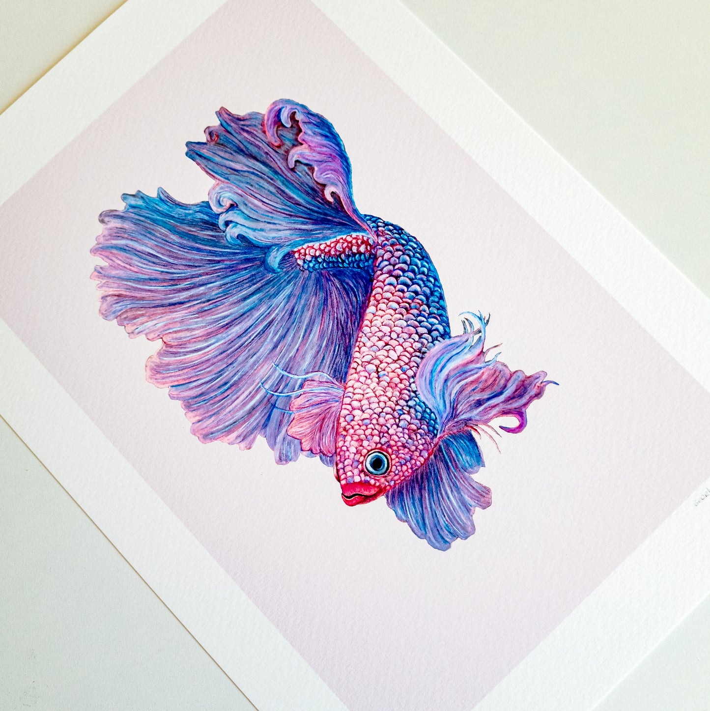 Fine art print BETTA