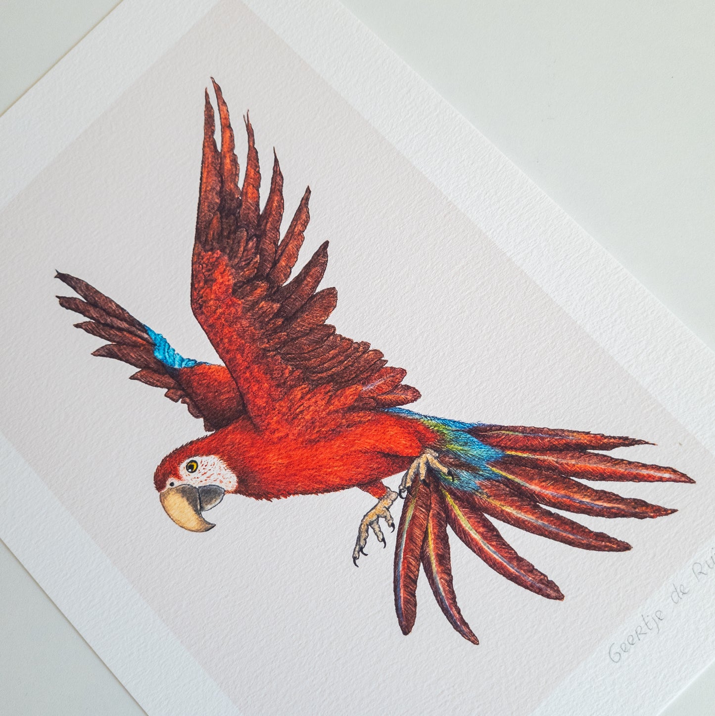 Fine art print RED