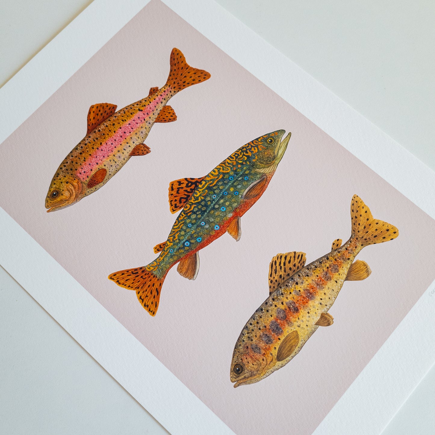 Fine art print FISH FRIDAY