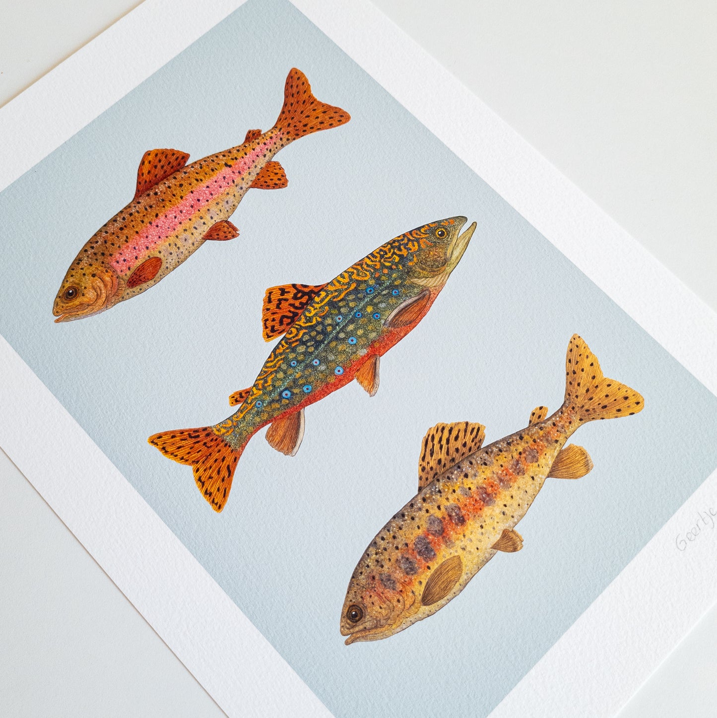 Fine art print FISH FRIDAY