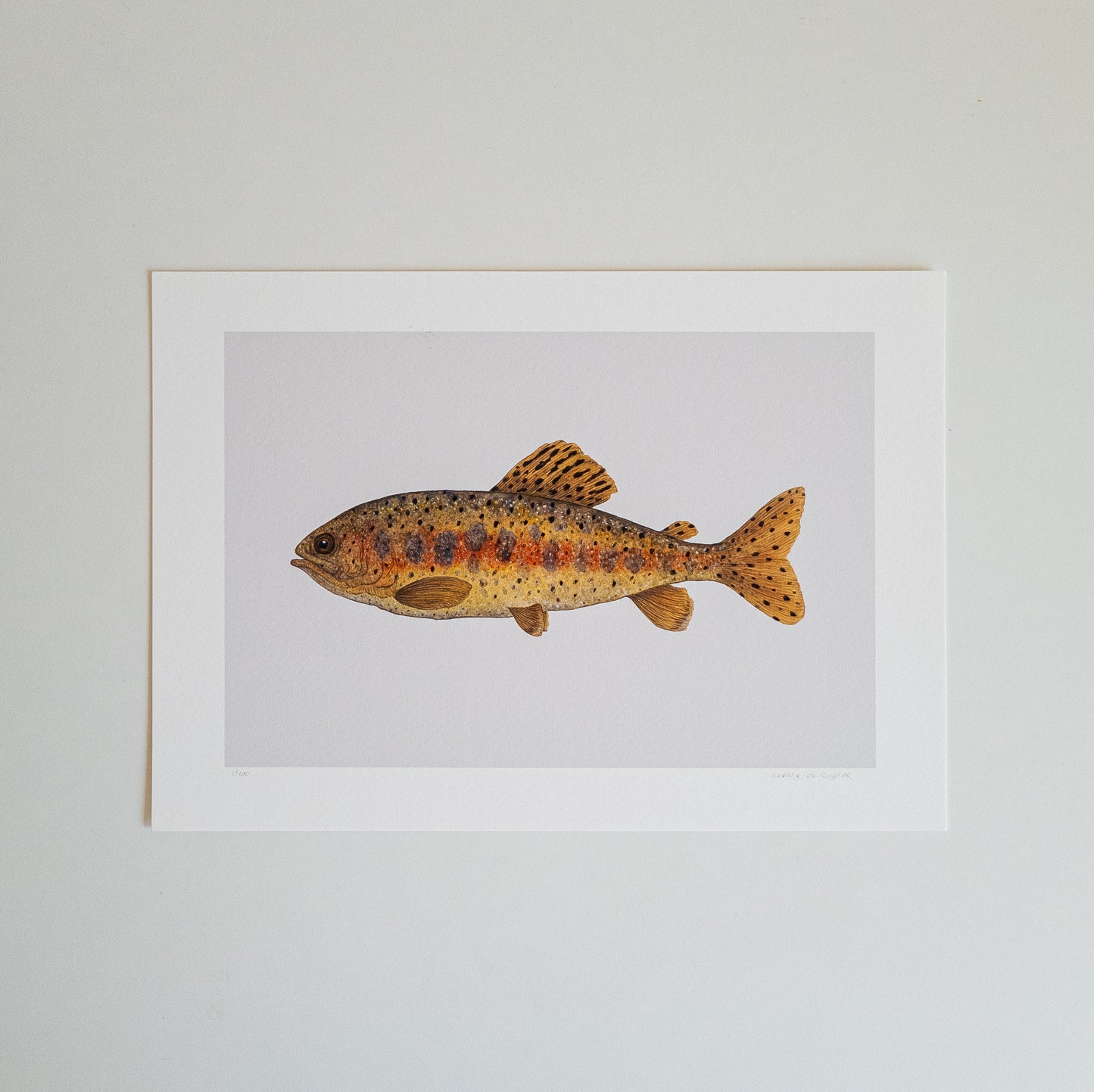 Fine art print REDBAND