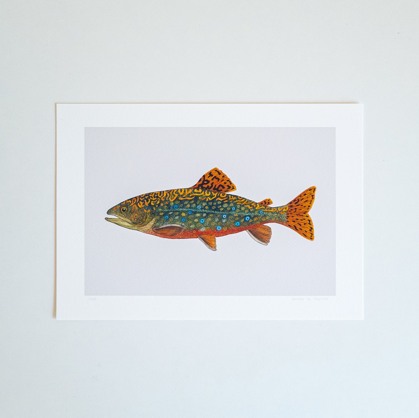 Fine art print BROOK