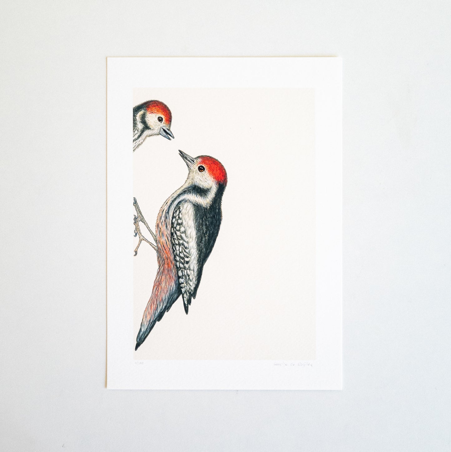 Fine art print KNOCK KNOCK, WHO'S THERE