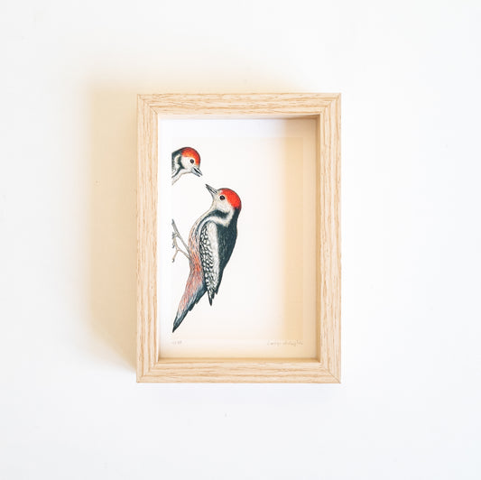 Art mini KNOCK KNOCK, WHO'S THERE