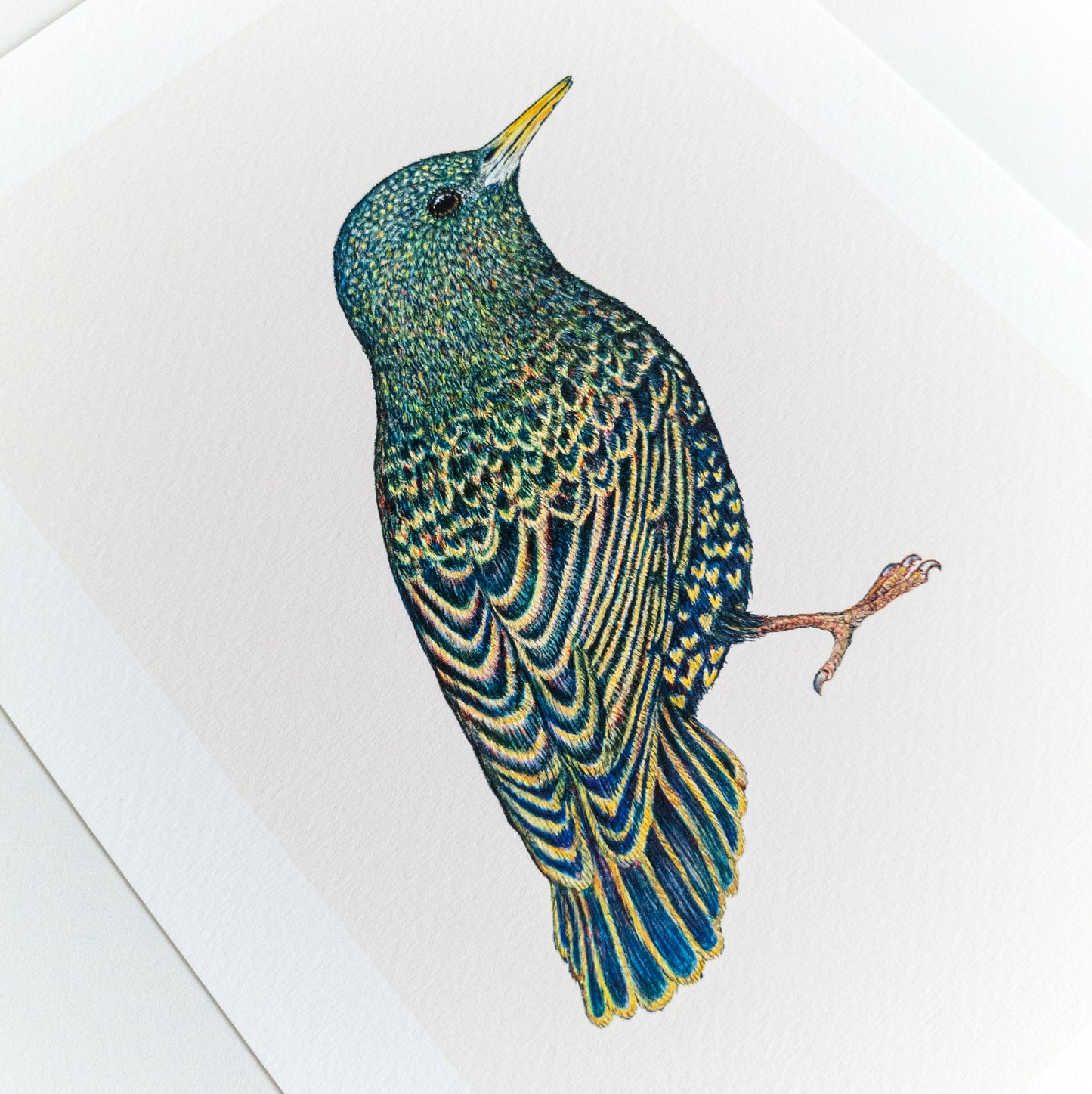 Fine art print MOZART