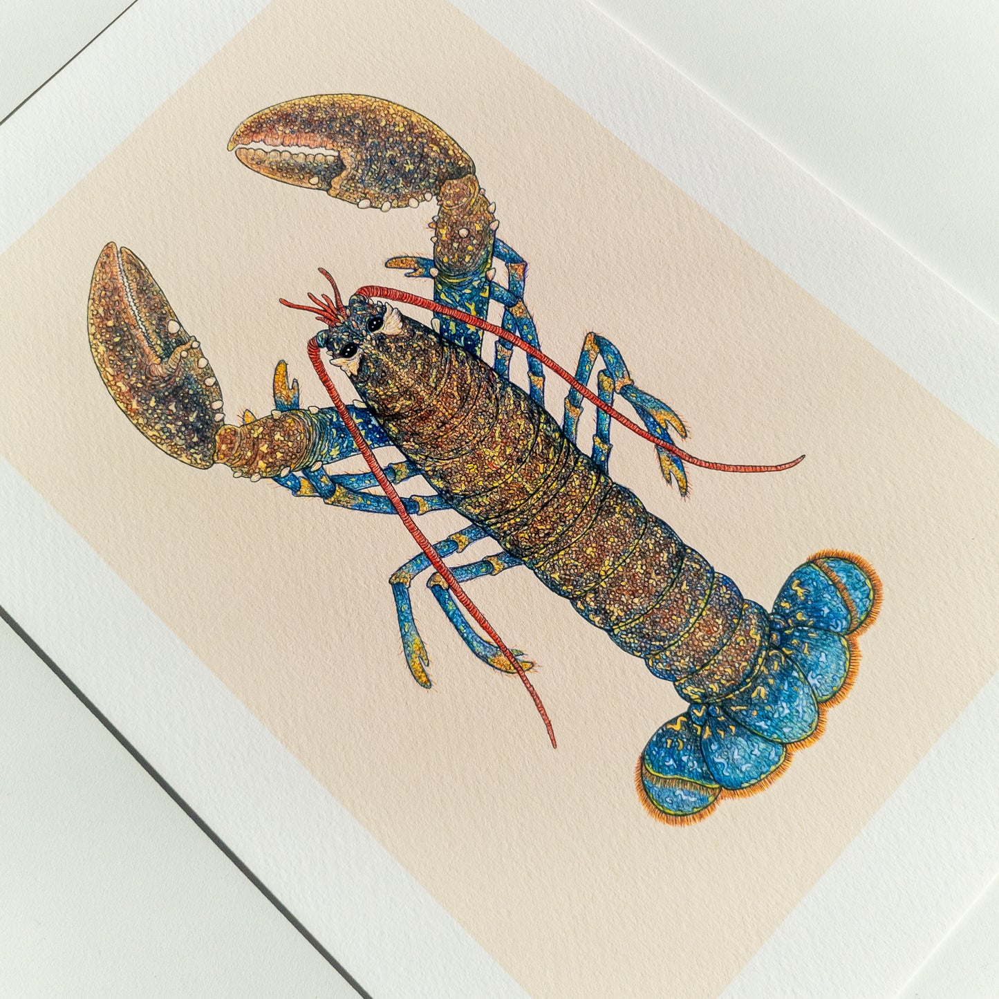 Fine art print LENNARD