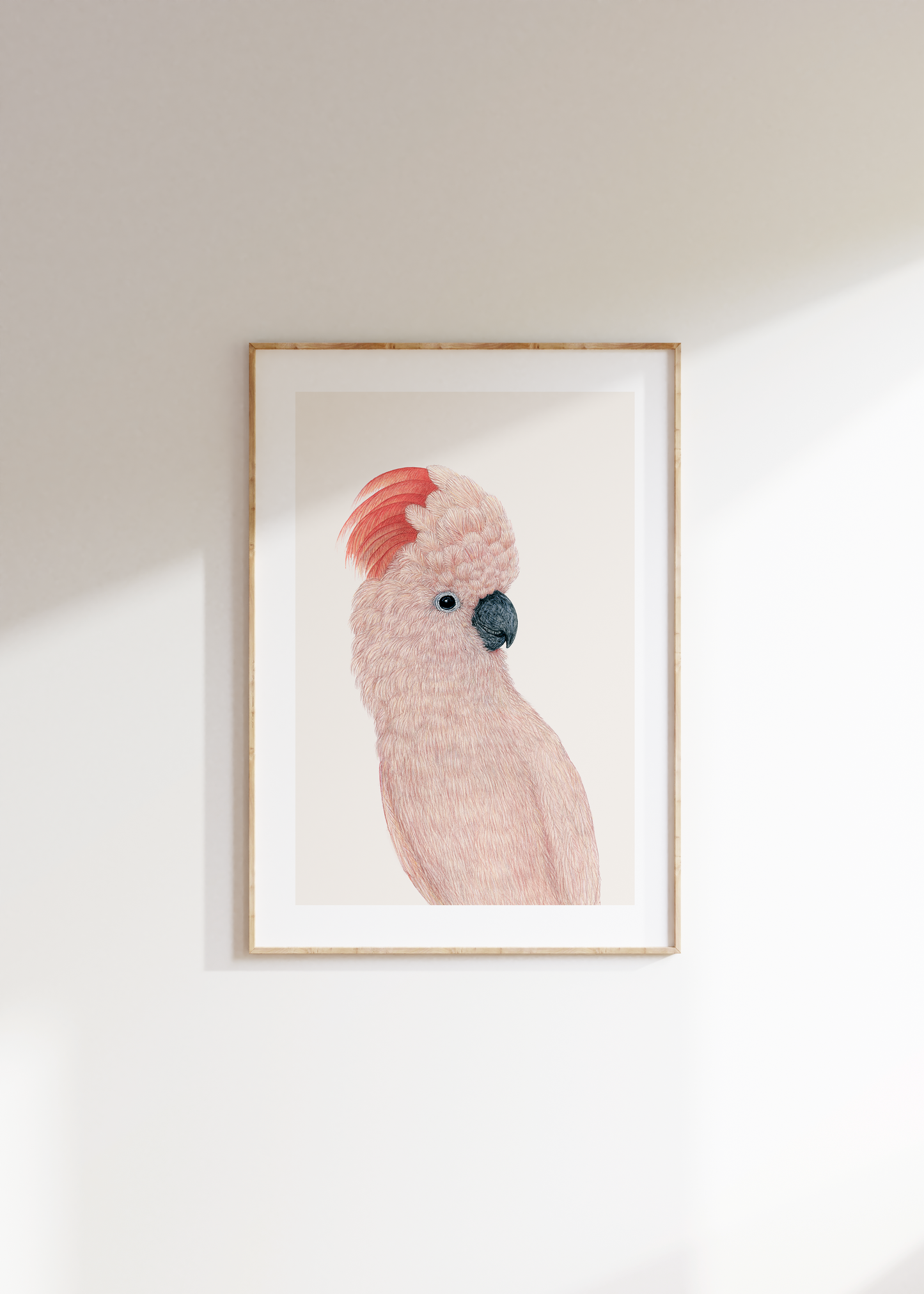 Fine art print SHELBY
