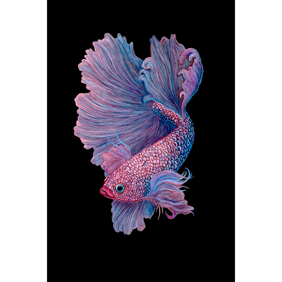 Fine art print BETTA