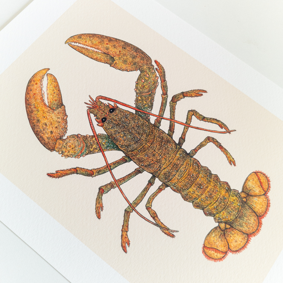 Fine art print LARRY