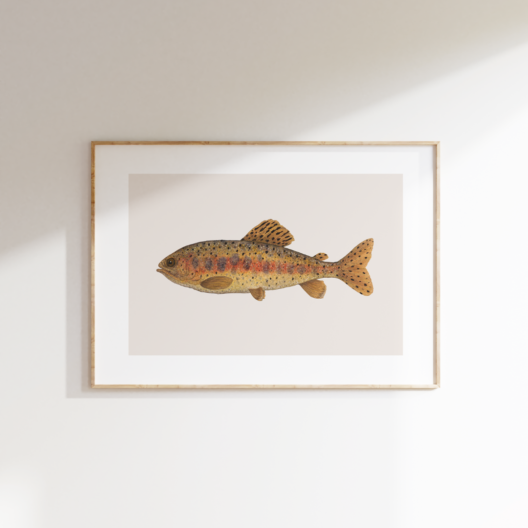 Fine art print REDBAND