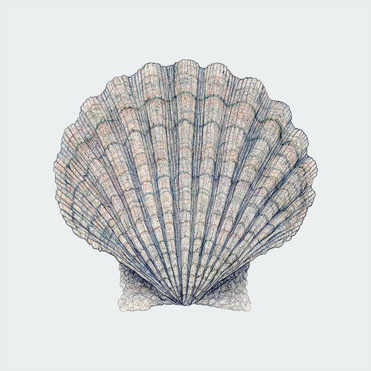 Special: fine art print SANTIAGO inclusief lijst