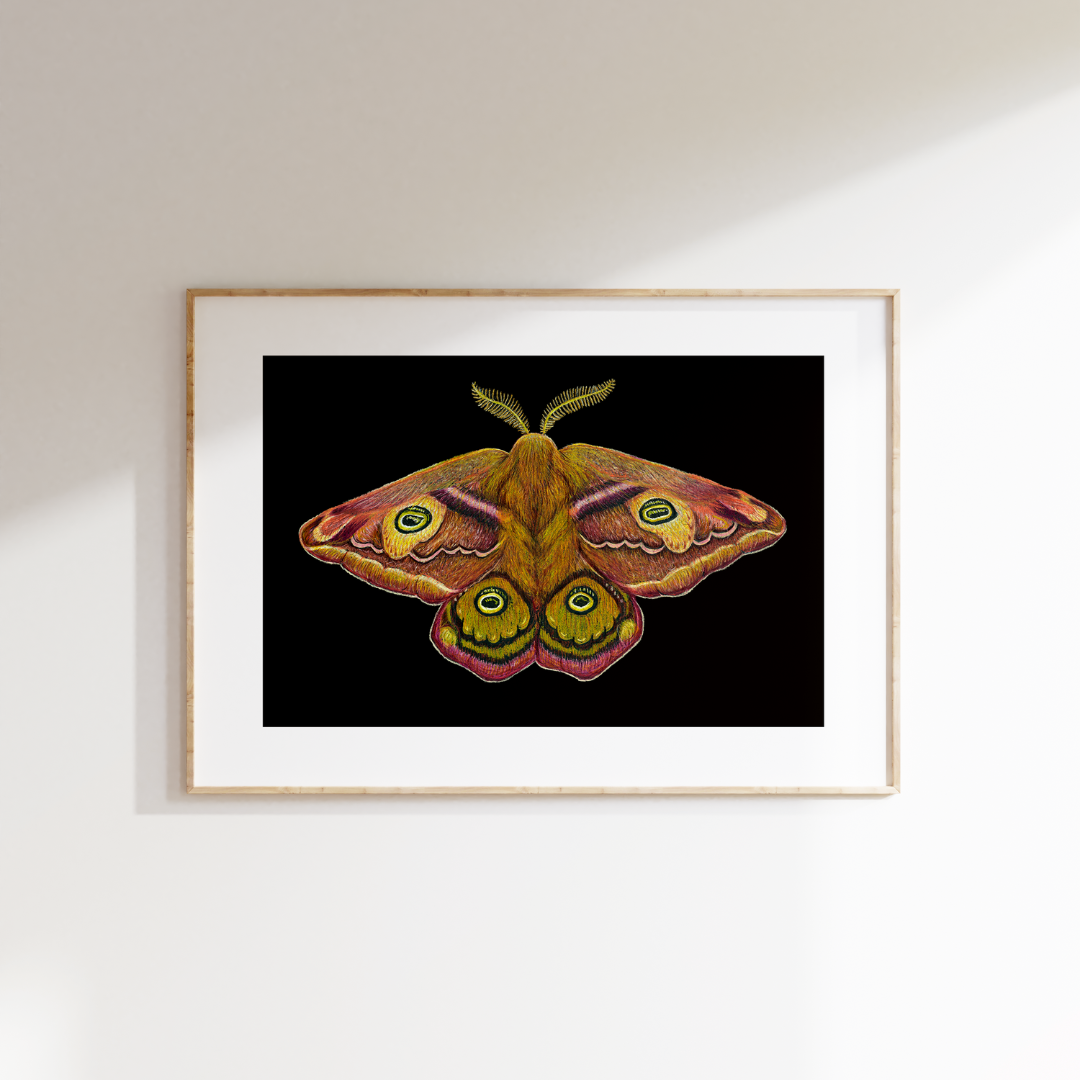 Fine art print THE SECOND EMPEROR
