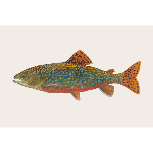 Fine art print BROOK