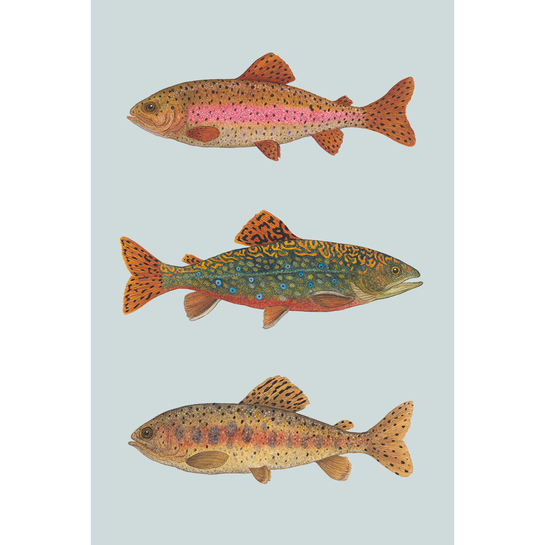 Fine art print FISH FRIDAY