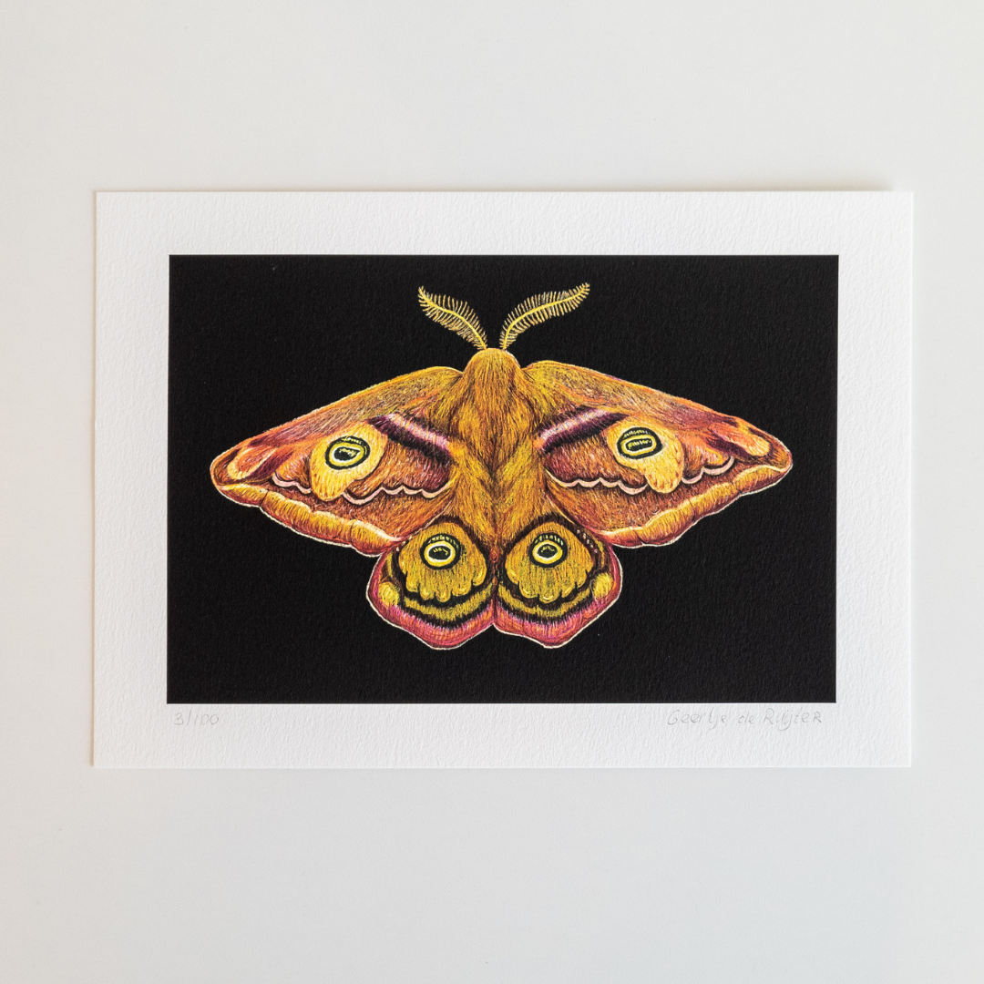Fine art print THE SECOND EMPEROR