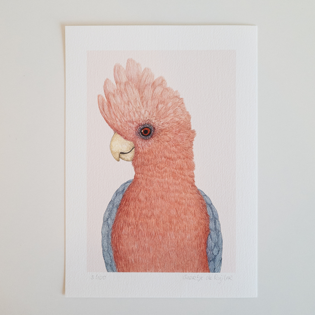 Fine art print ROSIE