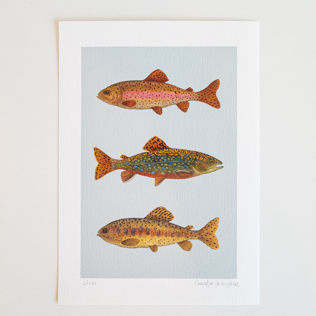 Fine art print FISH FRIDAY