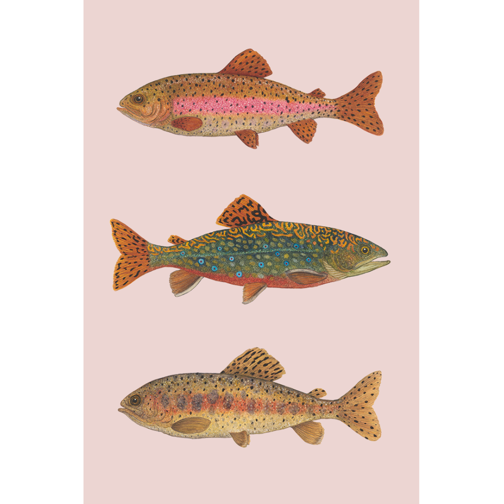 Art mini FISH FRIDAY pink