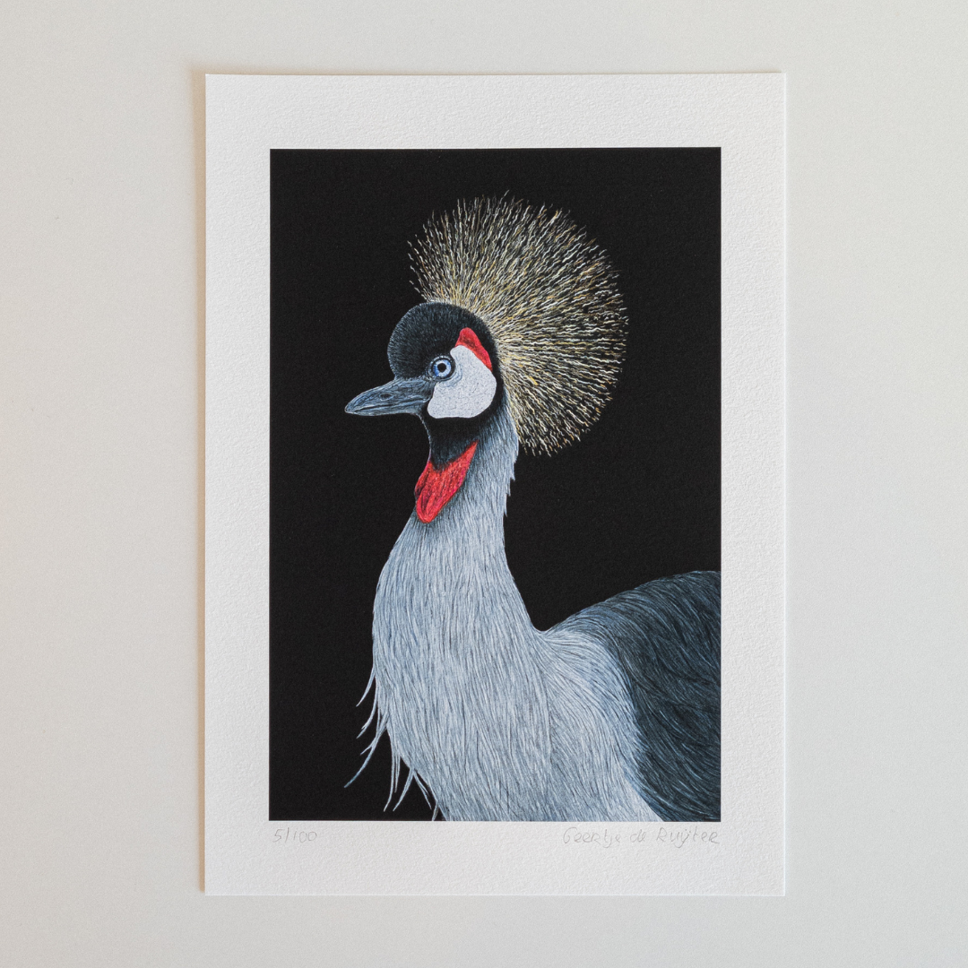 Fine art print HENRI