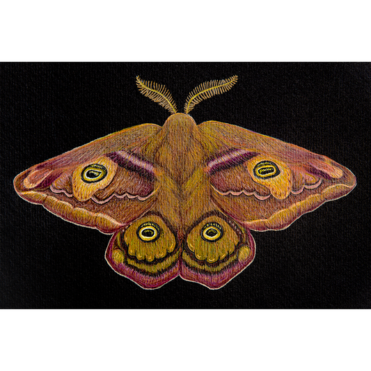 Fine art print THE SECOND EMPEROR