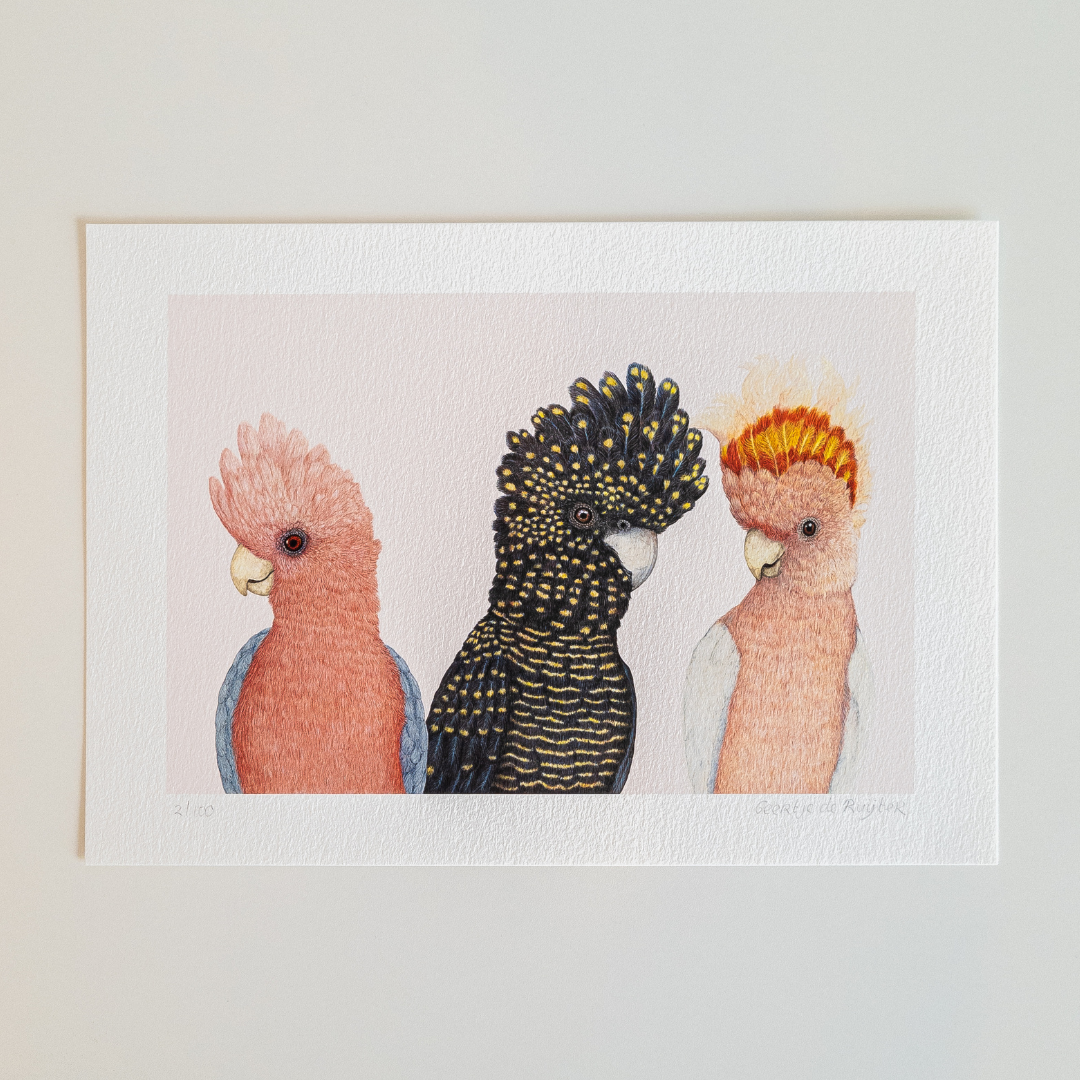 Fine art print A PARROT PARTY