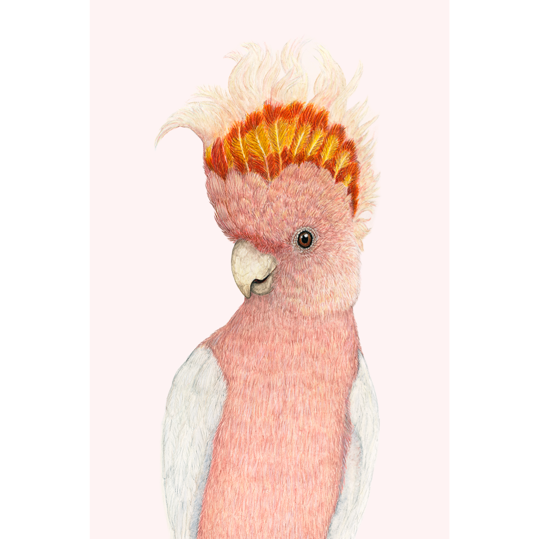 Fine art print IRWIN