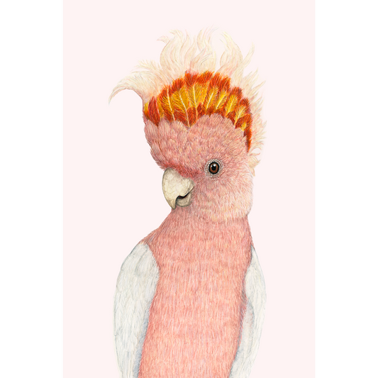 Fine art print IRWIN