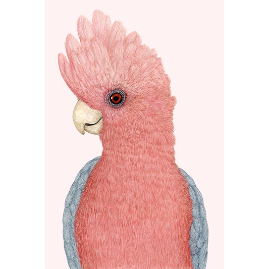 Fine art print ROSIE