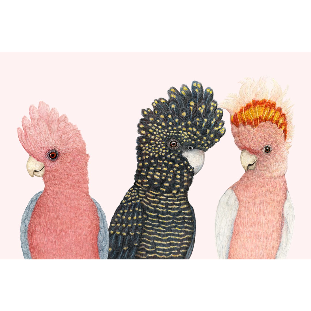 Fine art print A PARROT PARTY