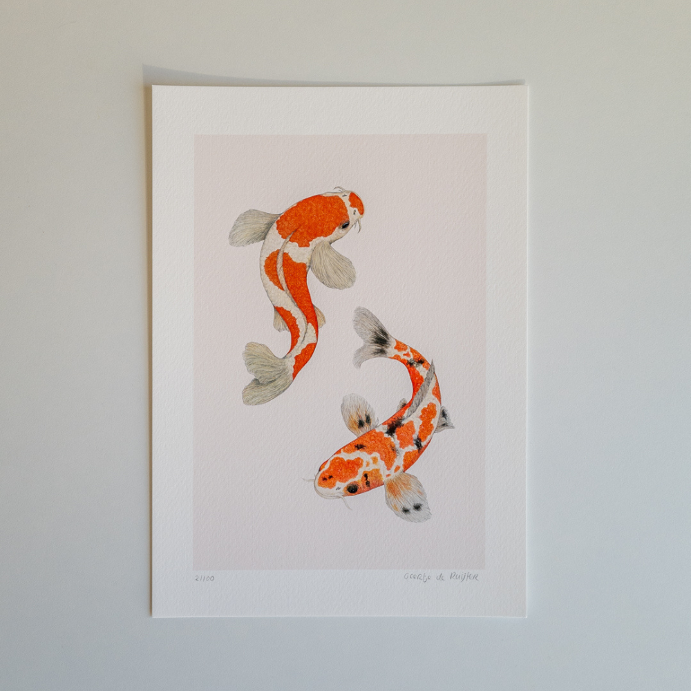 Fine art print KOI ME CRAZY