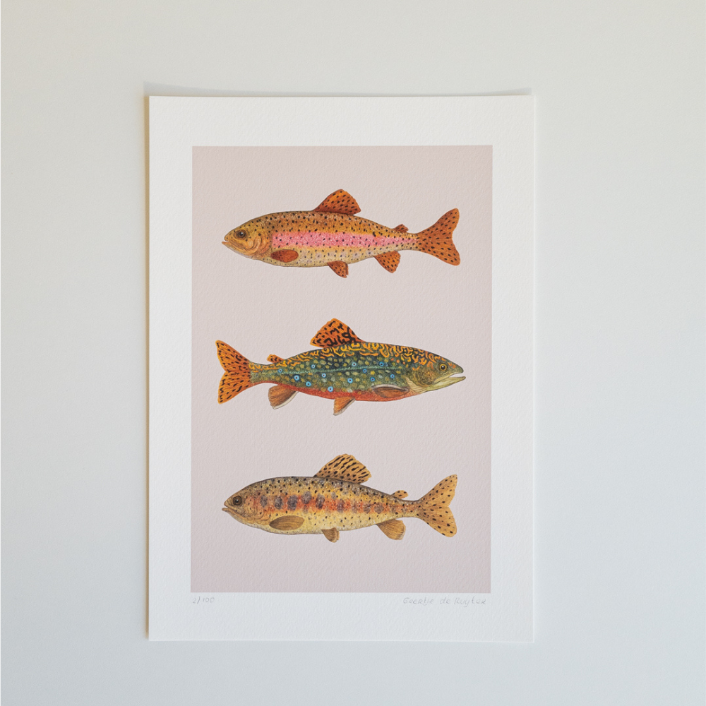 Fine art print FISH FRIDAY