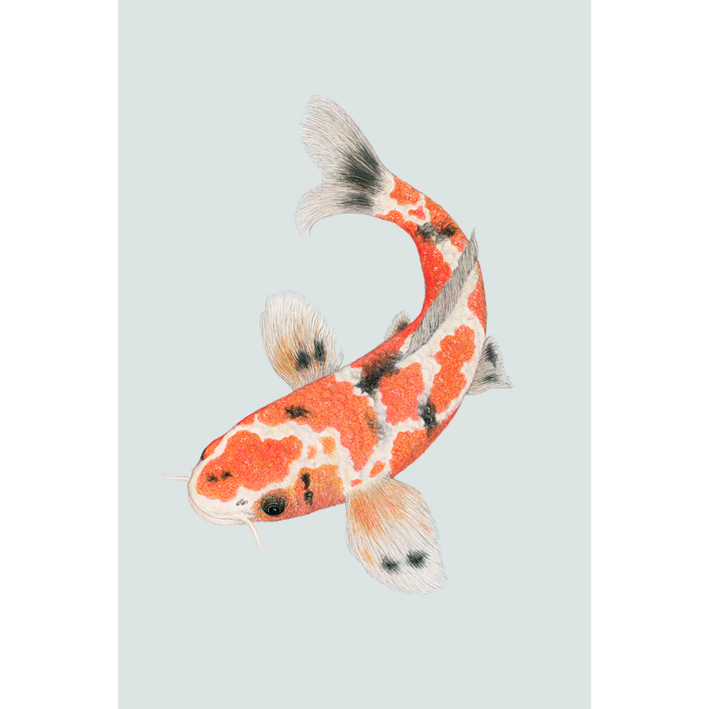 Fine art print YOU'LL SANKE ME LATER