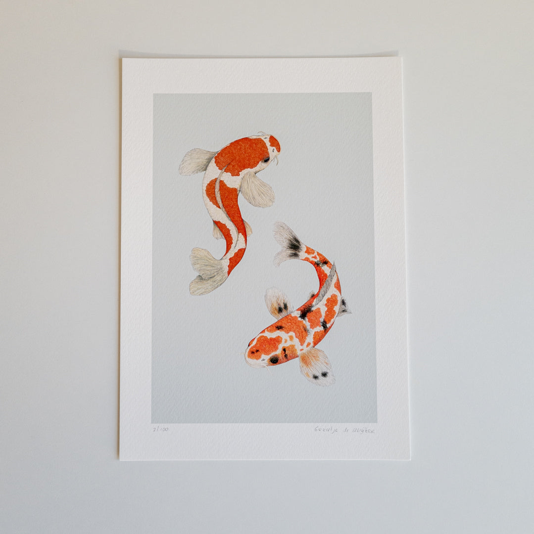 Fine art print KOI ME CRAZY