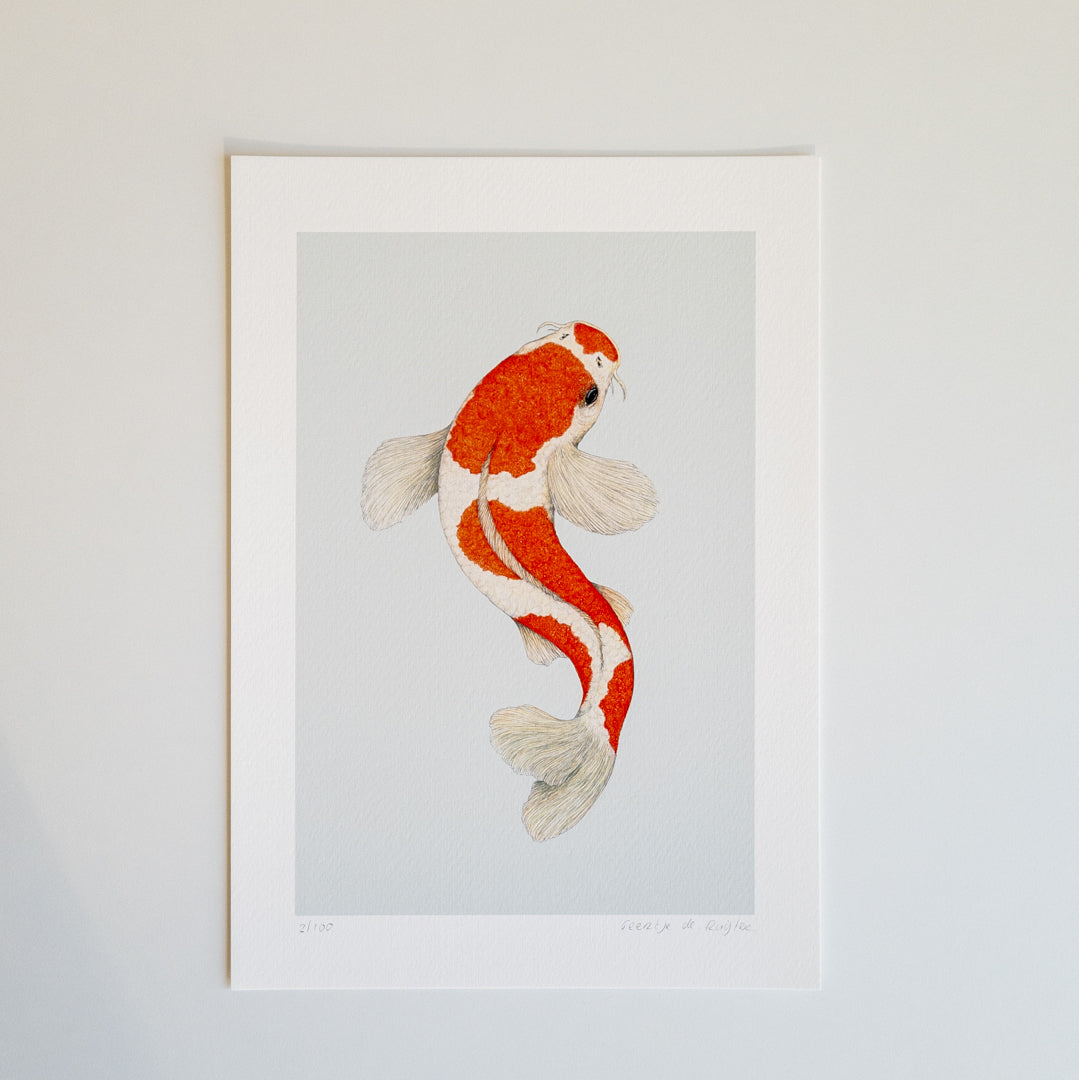 Fine art print KOHAKU KOI
