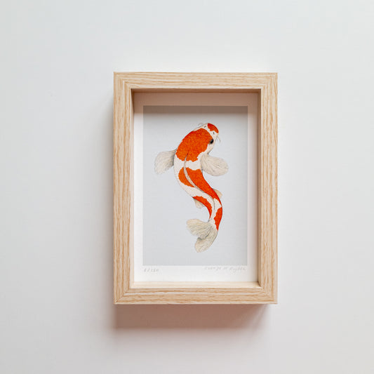Art mini KOHAKU KOI blue