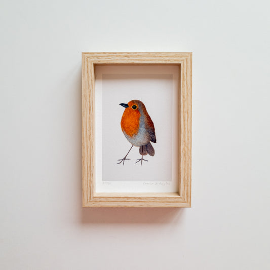 Art mini ROBIN