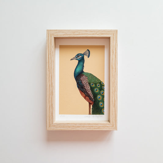 Art mini A PROUD PEACOCK