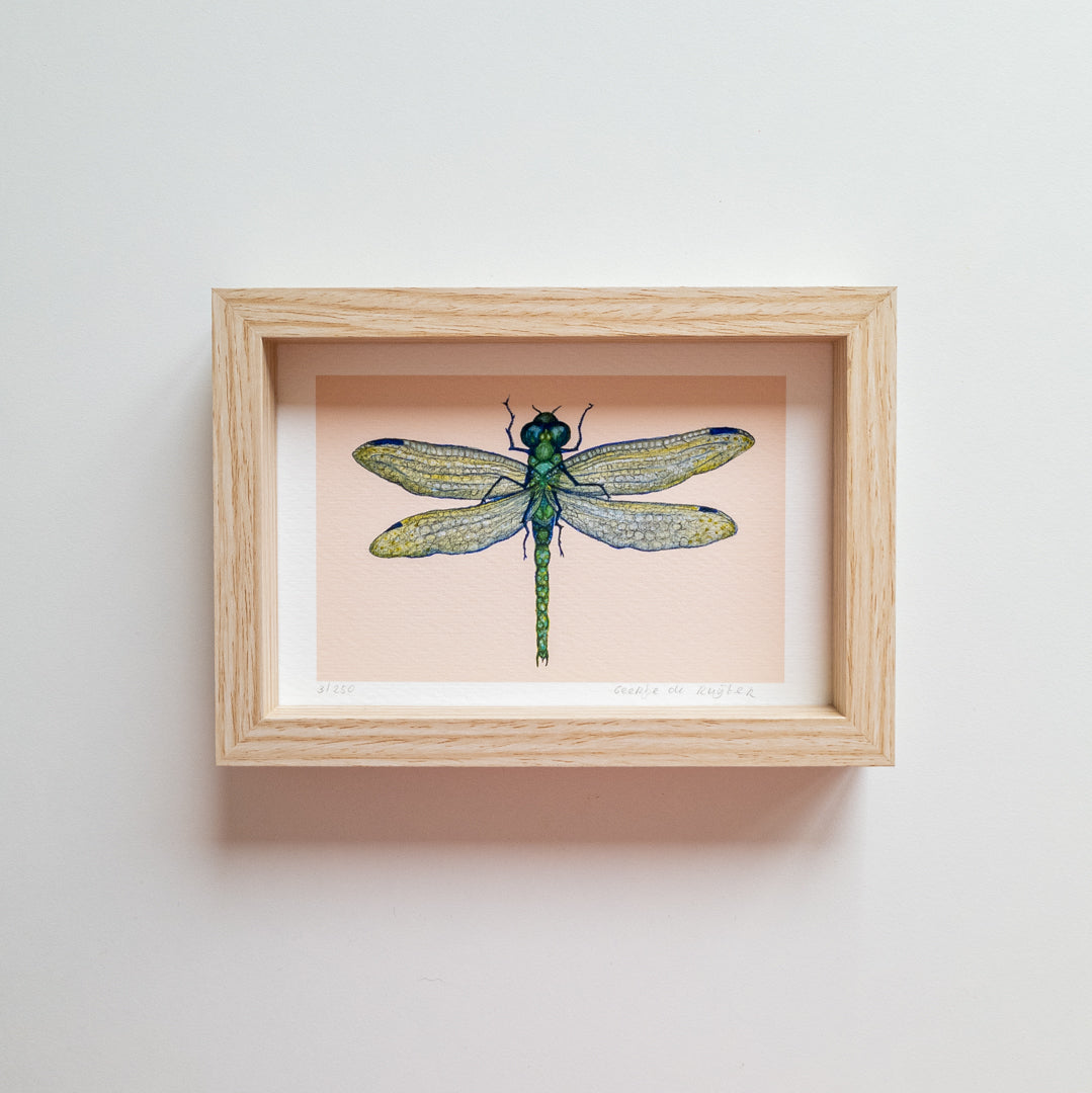 Art mini LIBELULA