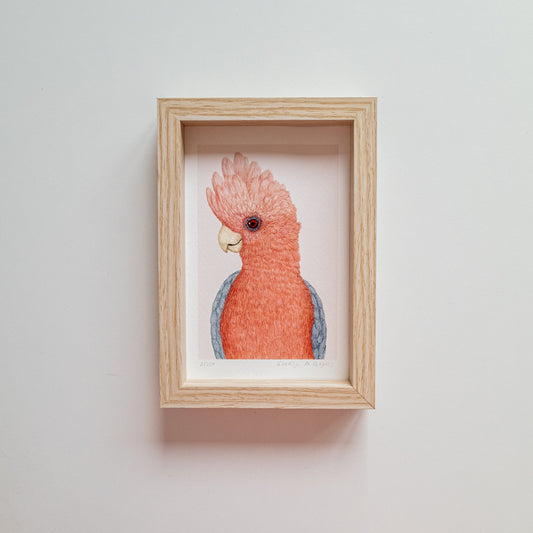 Art mini ROSIE