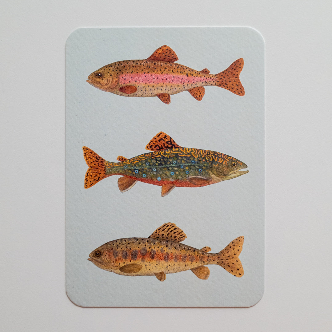 Postcard FISH FRIDAY blauw