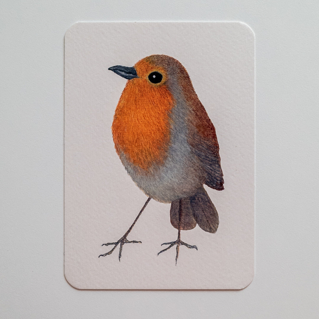 Postcard ROBIN