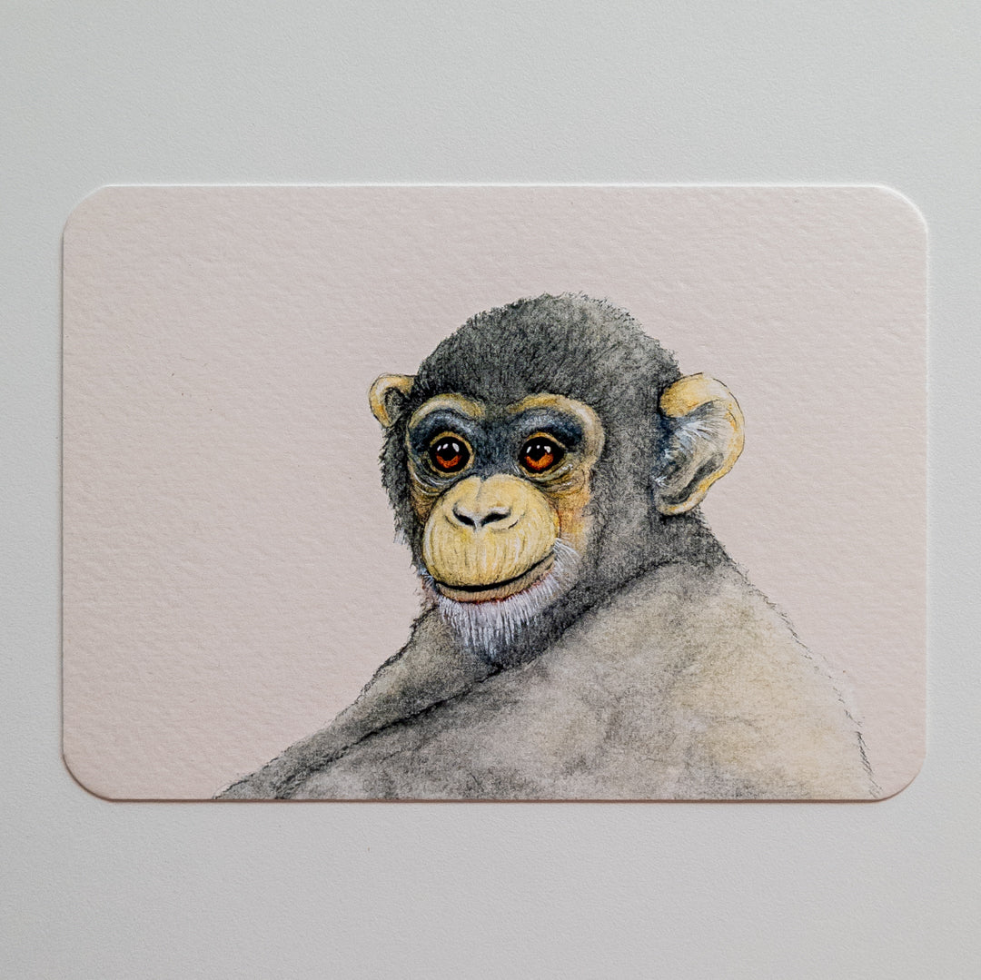 Postcard NO MONKEY BUSINESS